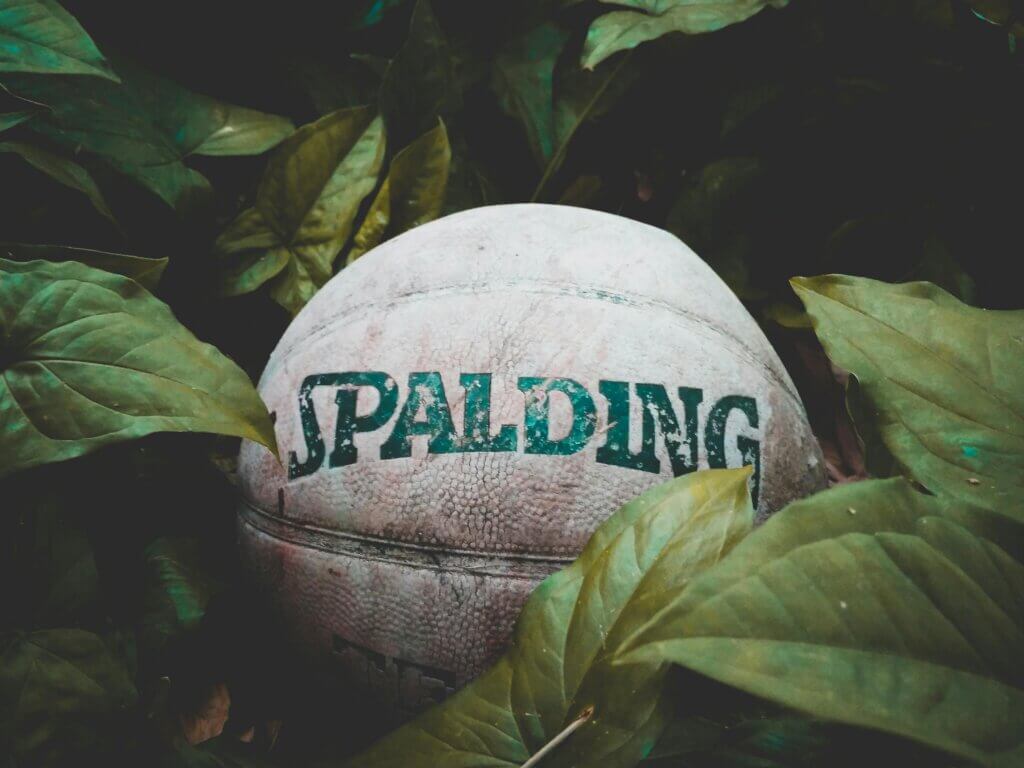 Balón de Spalding en la naturaleza